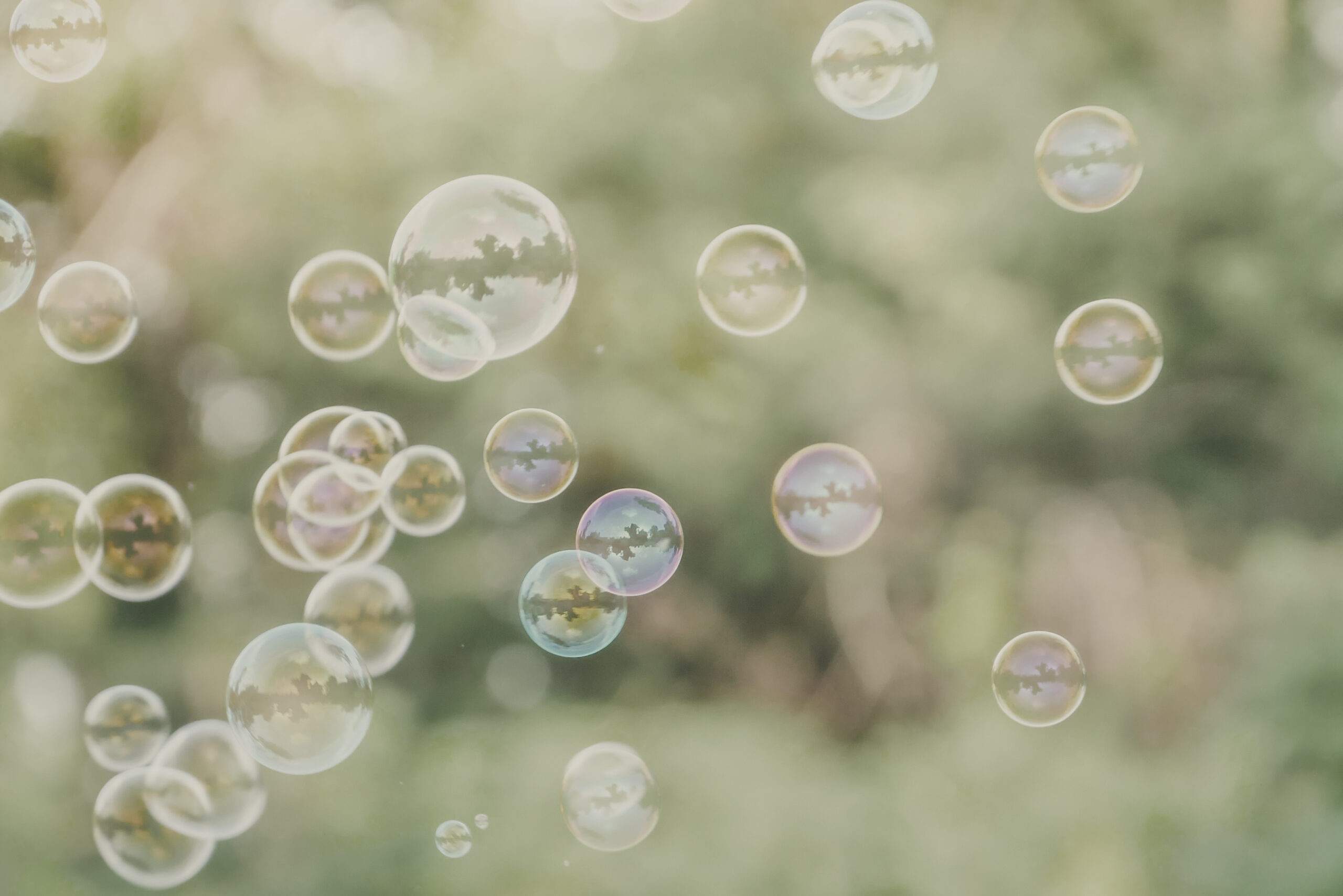 soap bubbles on green nature background